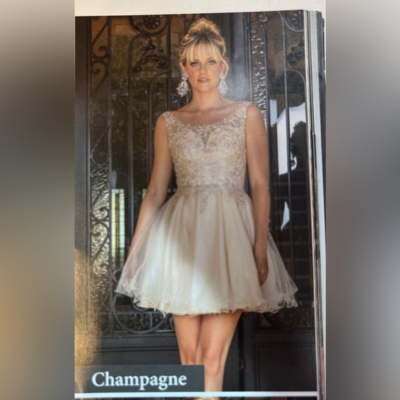 Short beautiful dress for events. (Quince,wedding,homecoming,prom.ETC) - Picture 8 of 8